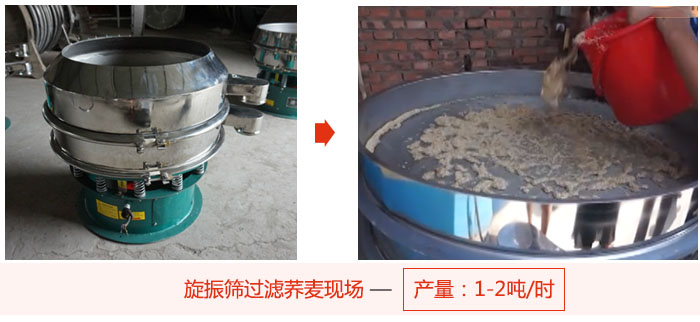 旋振篩過濾蕎麥現(xiàn)場，產(chǎn)量可達2噸每小時。